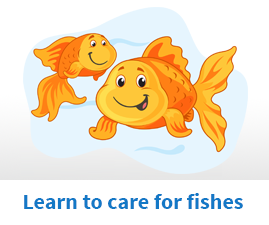 Learn to care for fishes